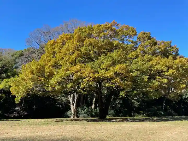 明治神宮(東京都)