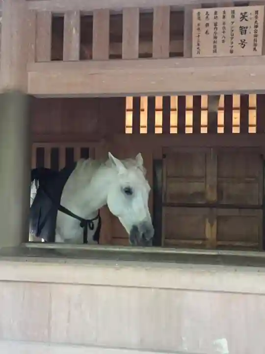 伊勢神宮外宮(豊受大神宮)の動物