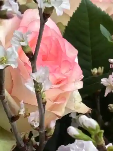 上尾御嶽神社の手水舎