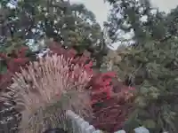 松尾山神社(奈良県)