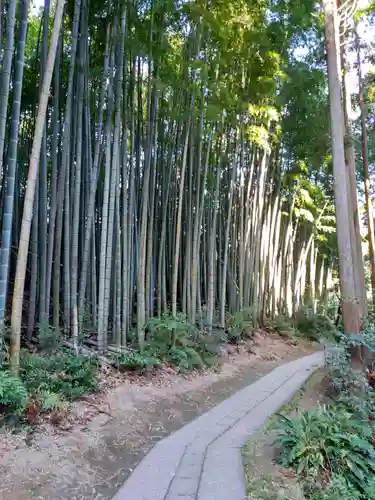 武雄神社(佐賀県)