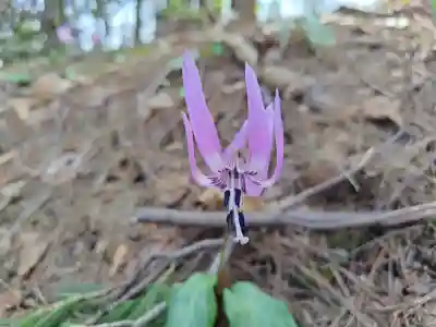 稲荷神社(北海道)