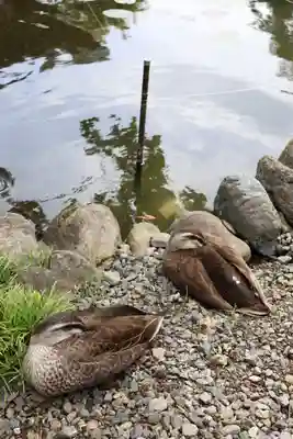圓照寺(埼玉県)
