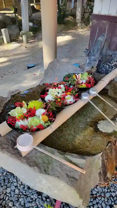 遍照院(愛知県)