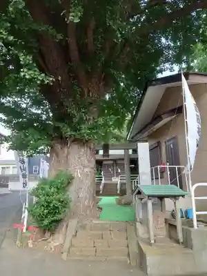 杉山神社(東京都)