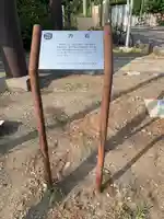 福住厳島神社のその他建物