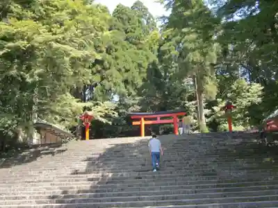 霧島神宮(鹿児島県)