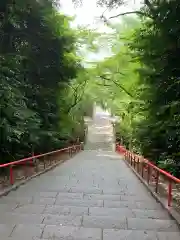 大崎八幡宮の建物その他