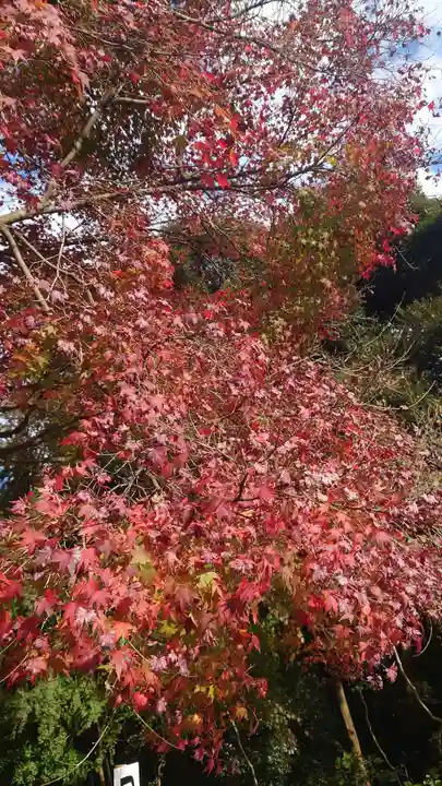 普門寺(切り絵御朱印発祥の寺)(愛知県)