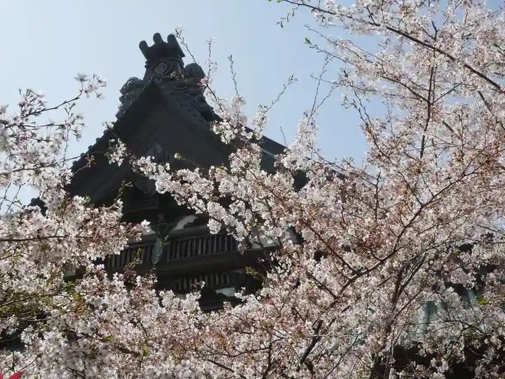 時宗総本山 遊行寺(正式:清浄光寺)の自然