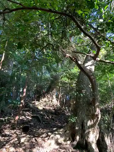 高瀧神社の自然