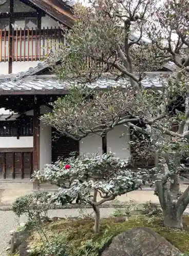 新德禅寺 (新徳寺)(京都府)