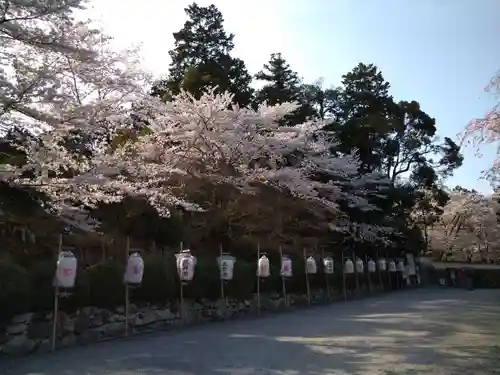 園城寺（三井寺）(滋賀県)