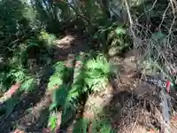 浅間神社の自然