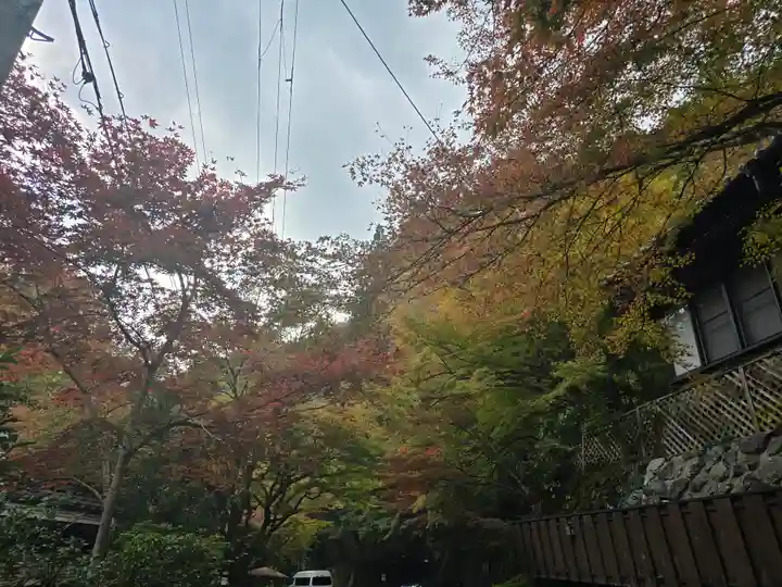 貴船神社奥宮(京都府)