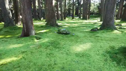 平泉寺白山神社の建物その他