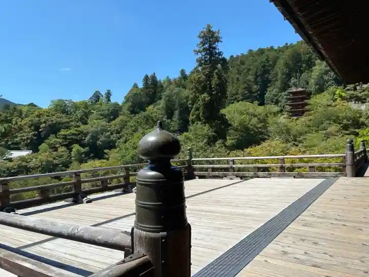 長谷寺(奈良県)
