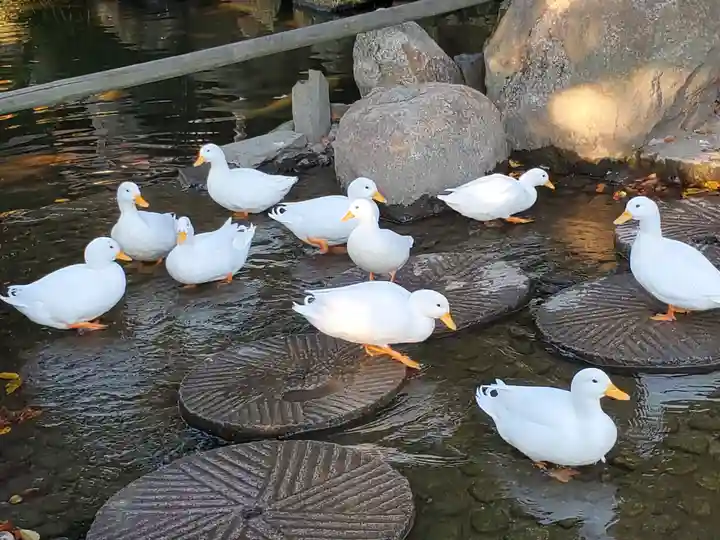 楽法寺(雨引観音)の動物