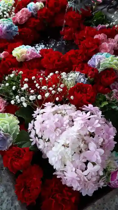 札幌諏訪神社の手水舎
