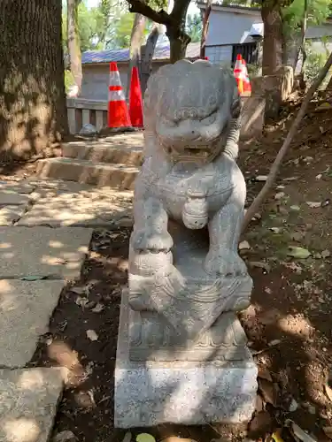 田無神社の狛犬