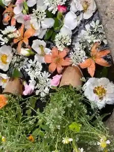 岡部春日神社~👹鬼門よけの🌺花咲く🌺やしろ~(福島県)(2024年05月13日(月) 06時33分51秒投稿)