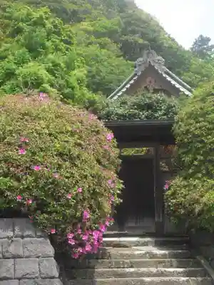 安養院　(田代寺）の山門・神門