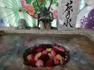 札幌諏訪神社の手水舎
