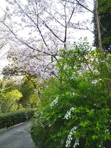 阿智神社の自然