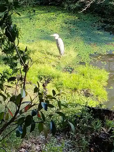 岩崎神社の自然