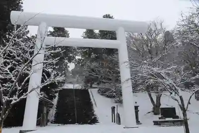 土津神社|こどもと出世の神さまの鳥居