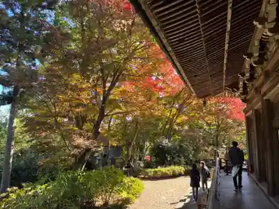 柳谷観音　楊谷寺(京都府)