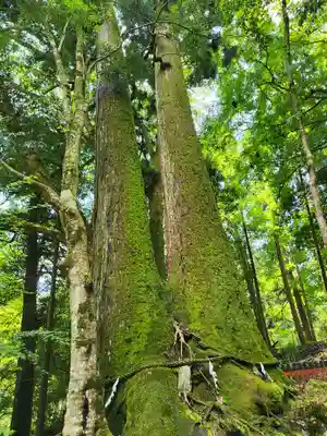 貴船神社(京都府)