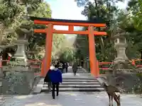 春日大社の鳥居