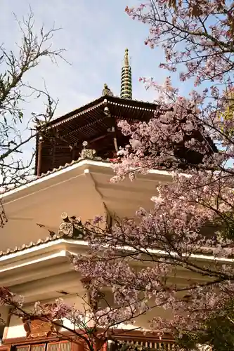 金峯山寺(奈良県)