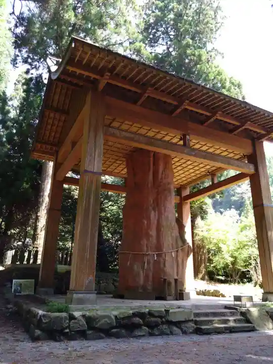 国造神社(熊本県)