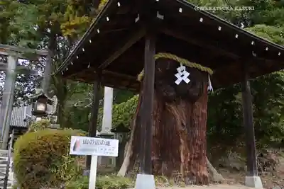  久延彦神社(奈良県)