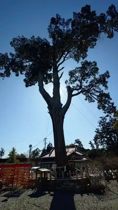 矢奈比賣神社(見付天神)(静岡県)