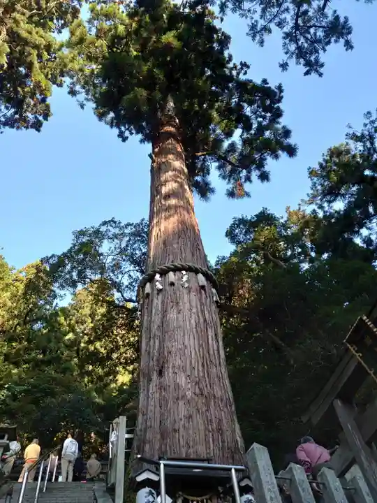 由岐神社の自然