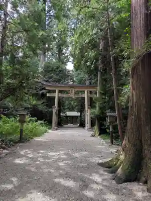 伊和神社(兵庫県)