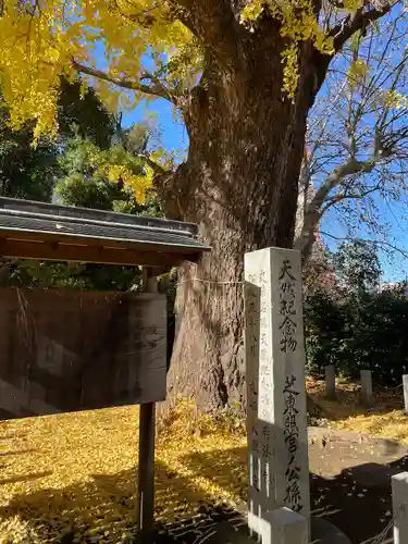 芝東照宮の自然