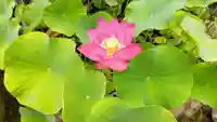東福寺(千葉県)