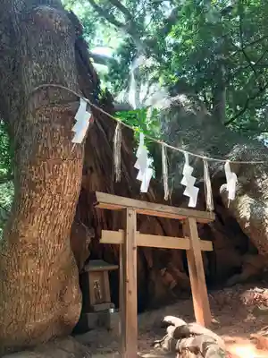 住吉神社(山口県)