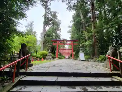 大崎八幡宮(宮城県)
