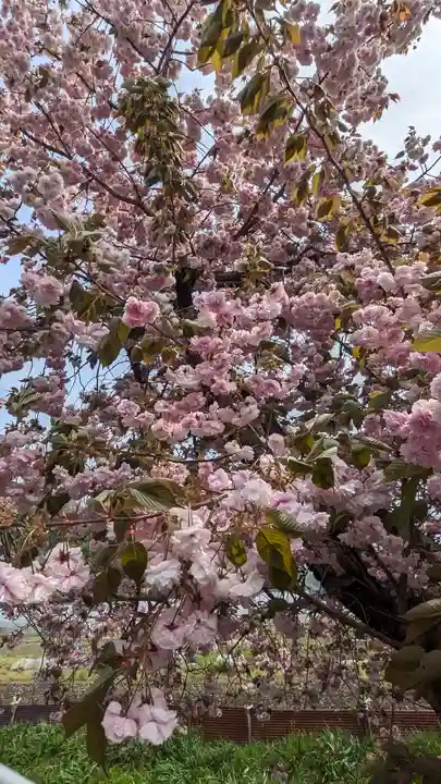 伊香具神社(滋賀県)