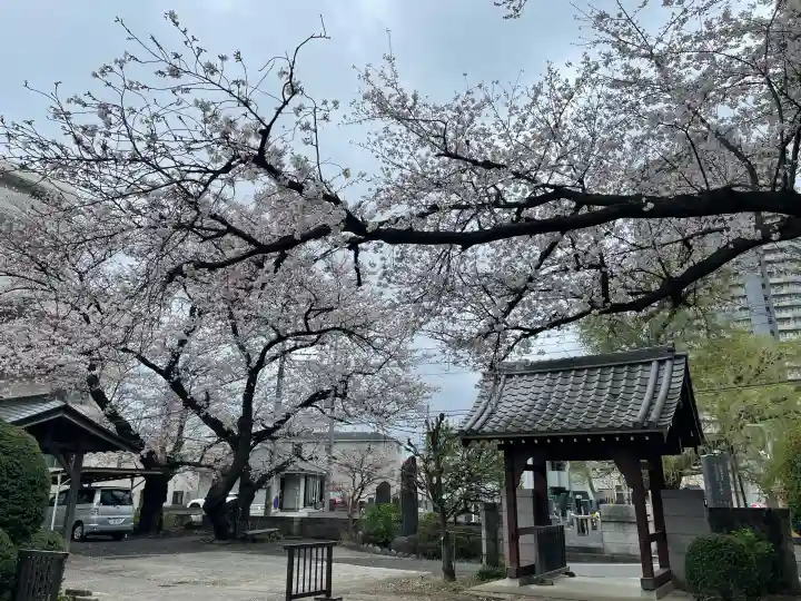 真福寺の{uncategorized: "未分類", other: "その他", undefined: "問題あり", building: "その他建物", grave: "お墓", sacred_gate: "鳥居", guardian: "狛犬", statue: "像", buddha: "仏像", history: "歴史", nature: "自然", garden: "庭園", animal: "動物", pagoda: "塔", temizu: "手水舎", mountain_gate: "山門・神門", sanctuary: "本殿・本堂", subordinate: "末社・摂社", art: "芸術", scenery: "景色", jizo: "地蔵", ema: "絵馬", goshuin: "御朱印", omikuji: "おみくじ", items: "授与品その他", amulet: "お守り", goshuincho: "御朱印帳", eats: "食事", festival: "お祭り", votive_dance: "神楽", shichigosan: "七五三参", wedding: "結婚式", experience: "体験その他", initially: "初詣", around: "周辺", anti_infection: "感染症対策"}