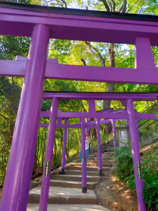 足利織姫神社(栃木県)