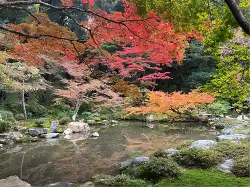 南禅院(京都府)