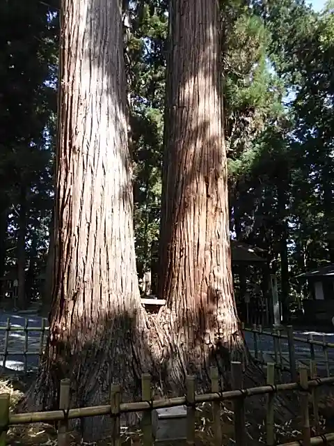 熊野大社(山形県)