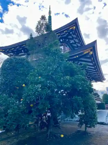 大義寺(東京都)