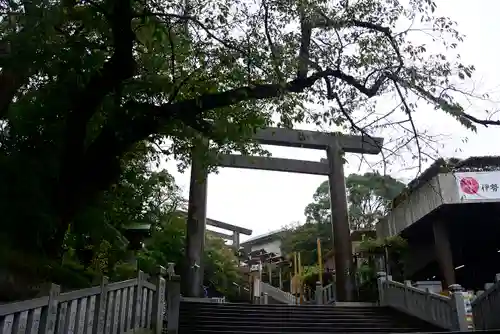 伊勢山皇大神宮の鳥居